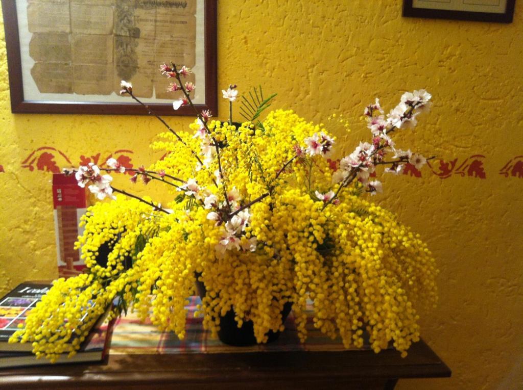 Agriturismo La Rocca Di Perti ฟีนาเลลีกูเร ภายนอก รูปภาพ