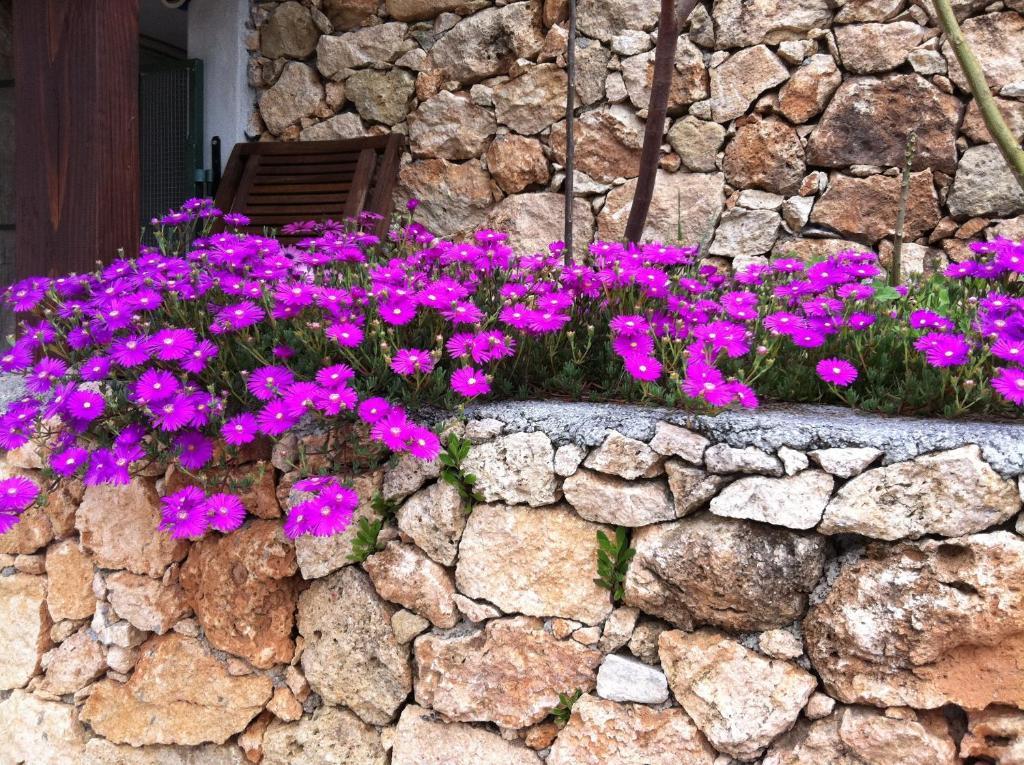 Agriturismo La Rocca Di Perti ฟีนาเลลีกูเร ภายนอก รูปภาพ