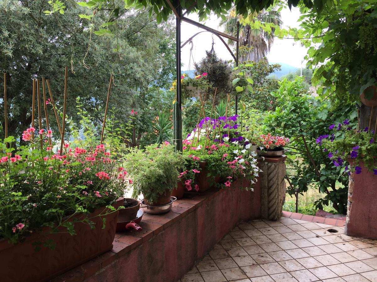 Agriturismo La Rocca Di Perti ฟีนาเลลีกูเร ภายนอก รูปภาพ